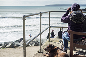5 awesome out of season dog beaches in Cornwall